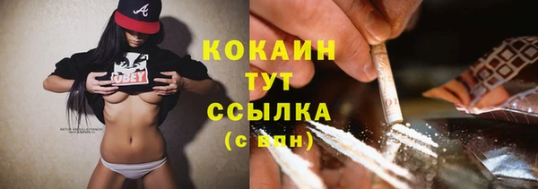 прущие крисы Богданович