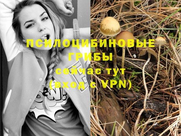 apvp Семёнов