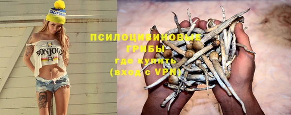 spice Слюдянка